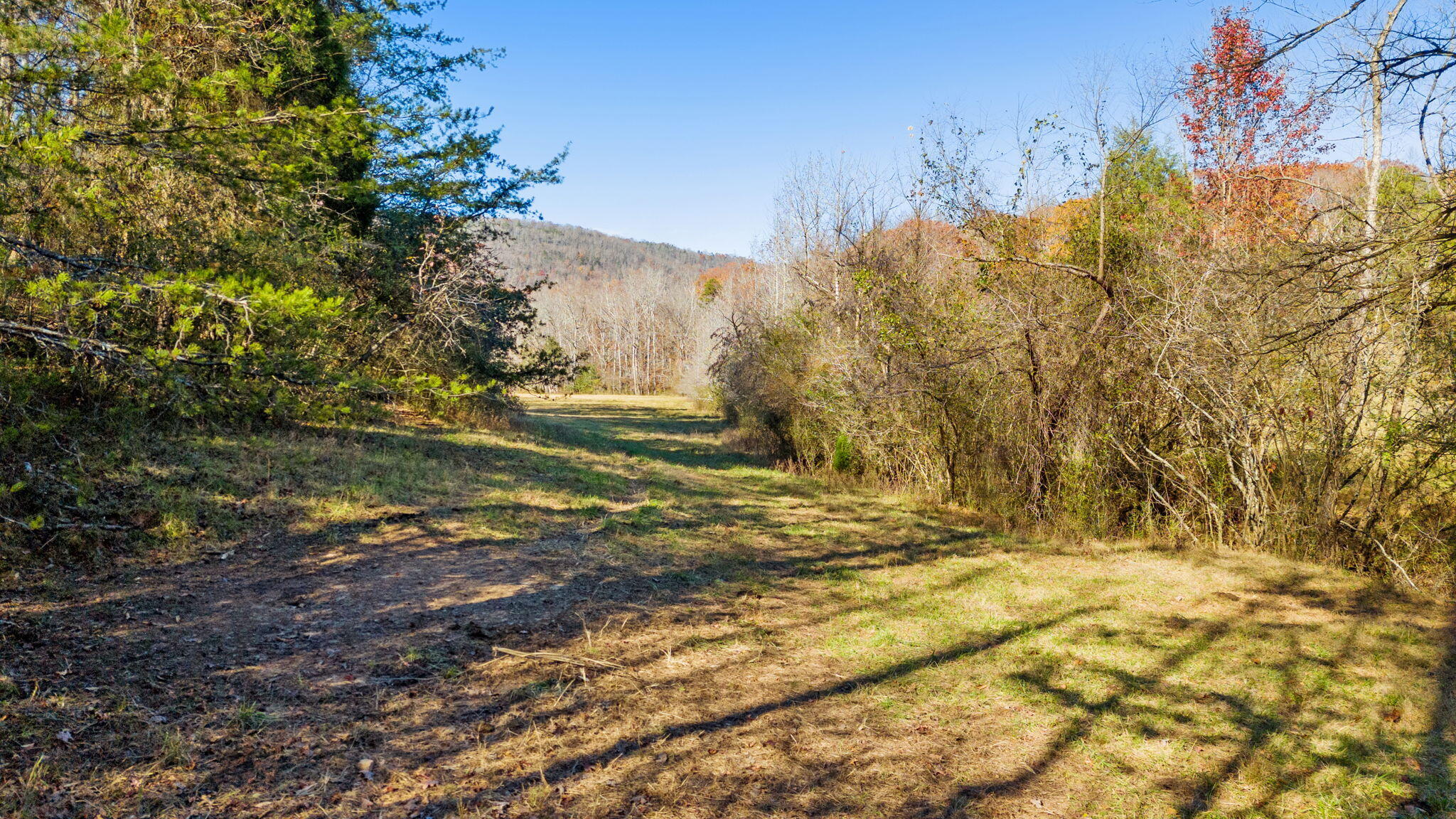 Twin Oaks Road, Spring City, Tennessee image 38
