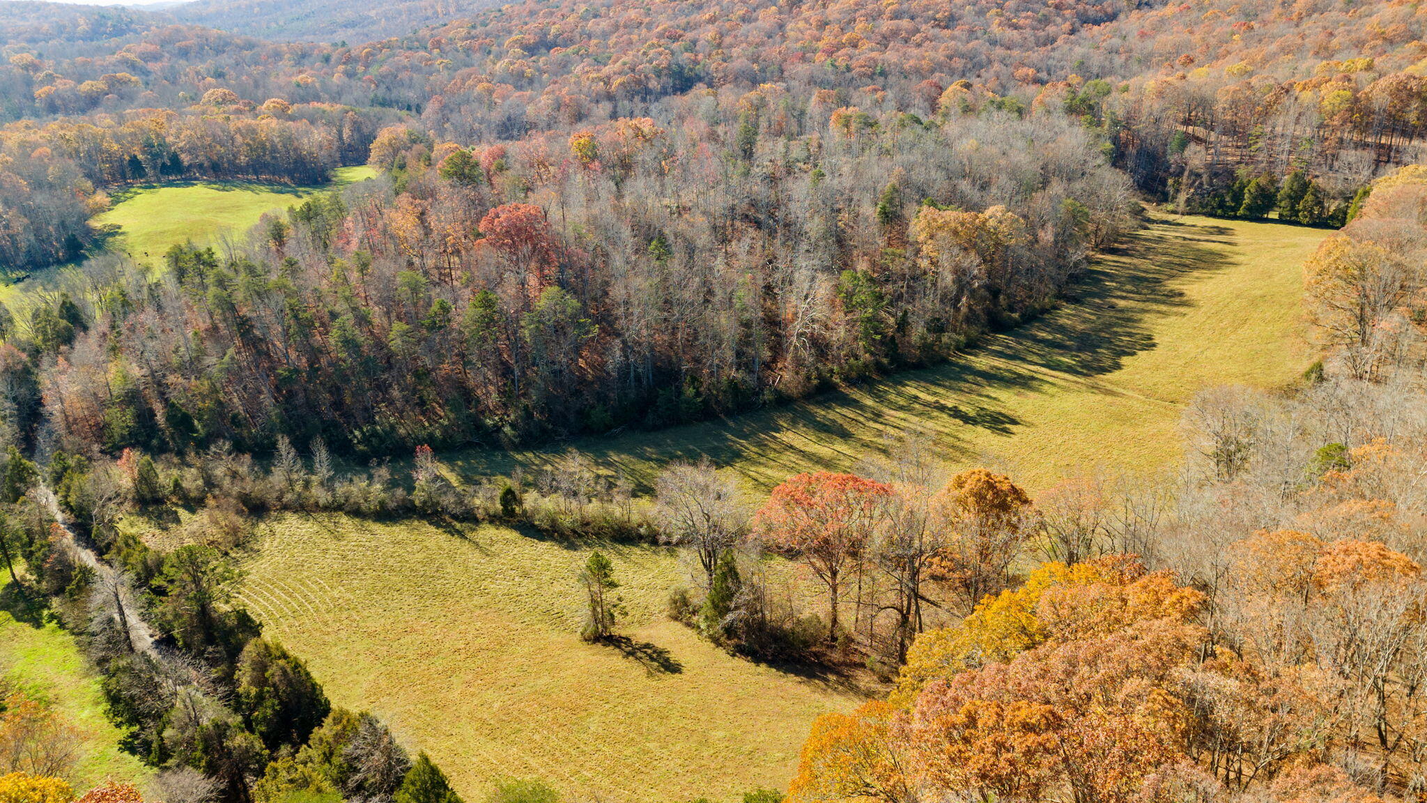 Twin Oaks Road, Spring City, Tennessee image 34
