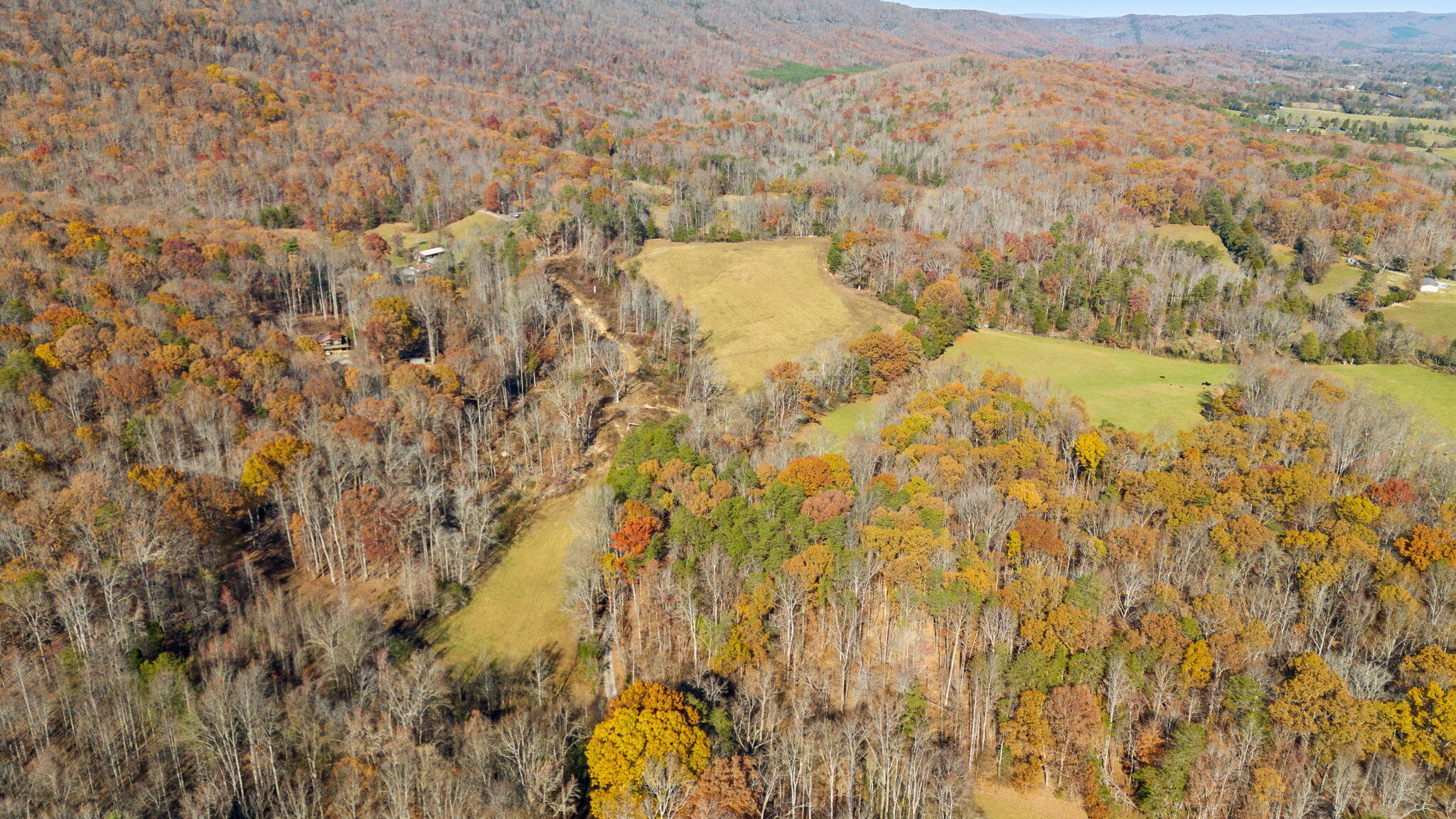 Twin Oaks Road, Spring City, Tennessee image 14