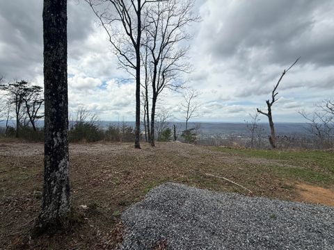 Photo of Lot 16 Scenic Highway, Rising Fawn, GA 30738 (MLS # 1531138)