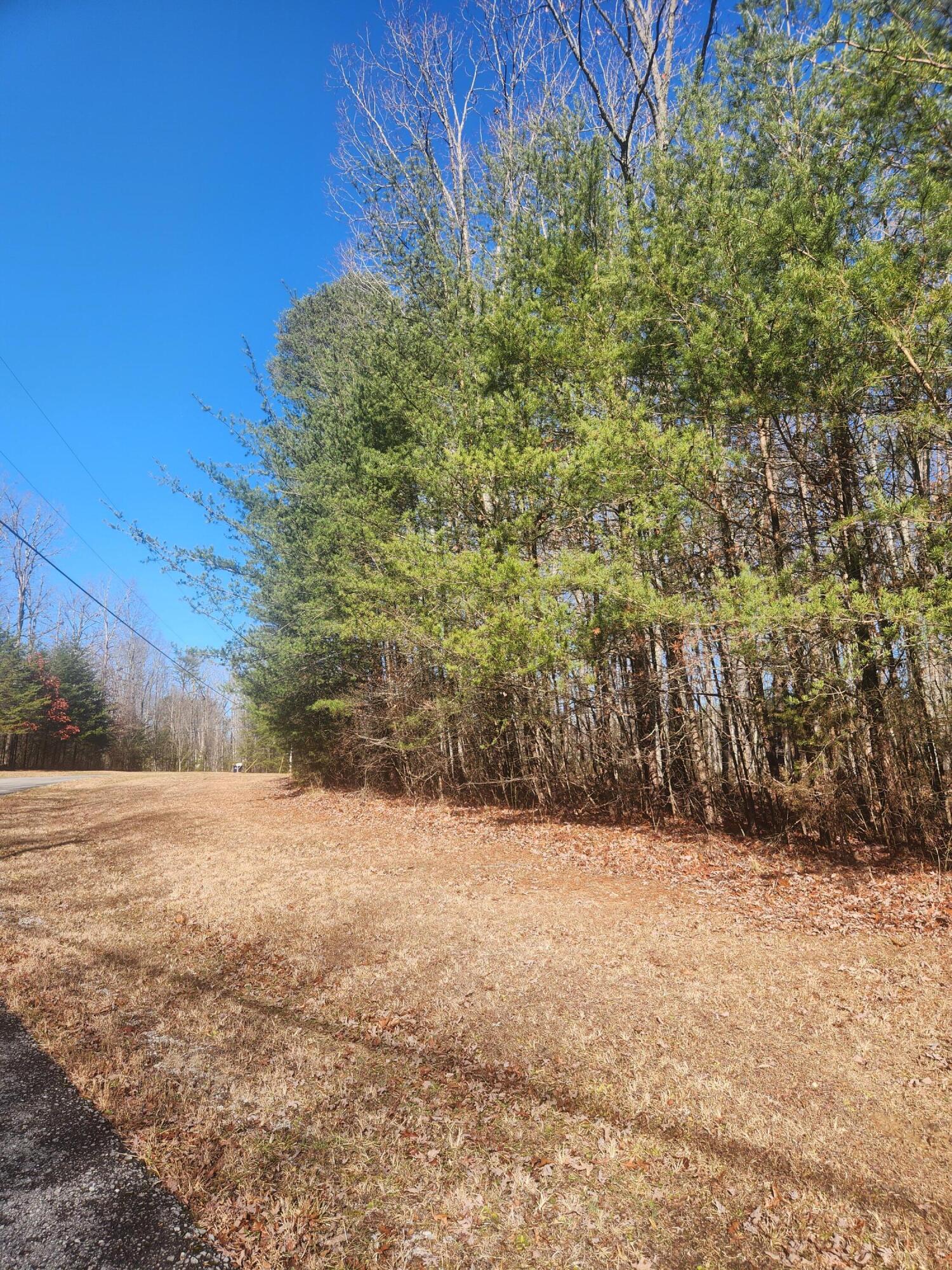 View Spencer, TN 38585 land