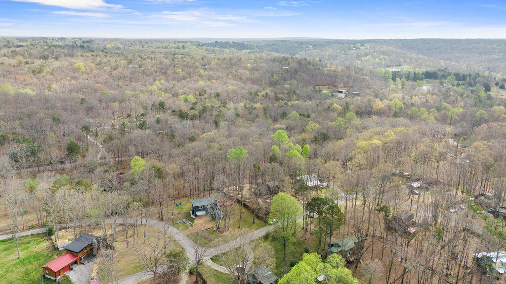 43 Miller Cove Circle, Signal Mountain, Tennessee image 18