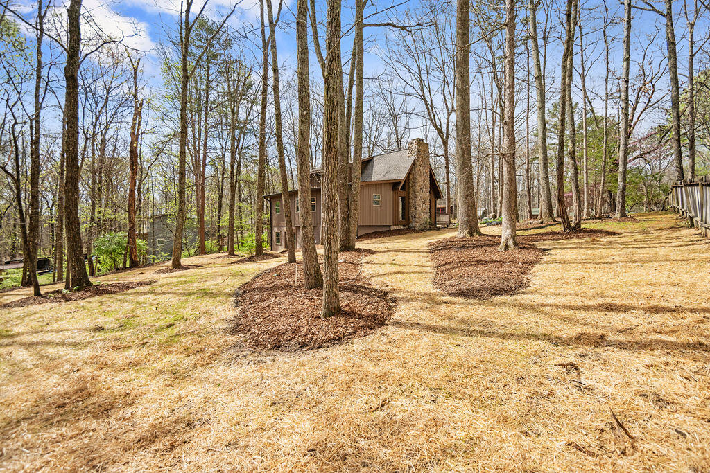 43 Miller Cove Circle, Signal Mountain, Tennessee image 38