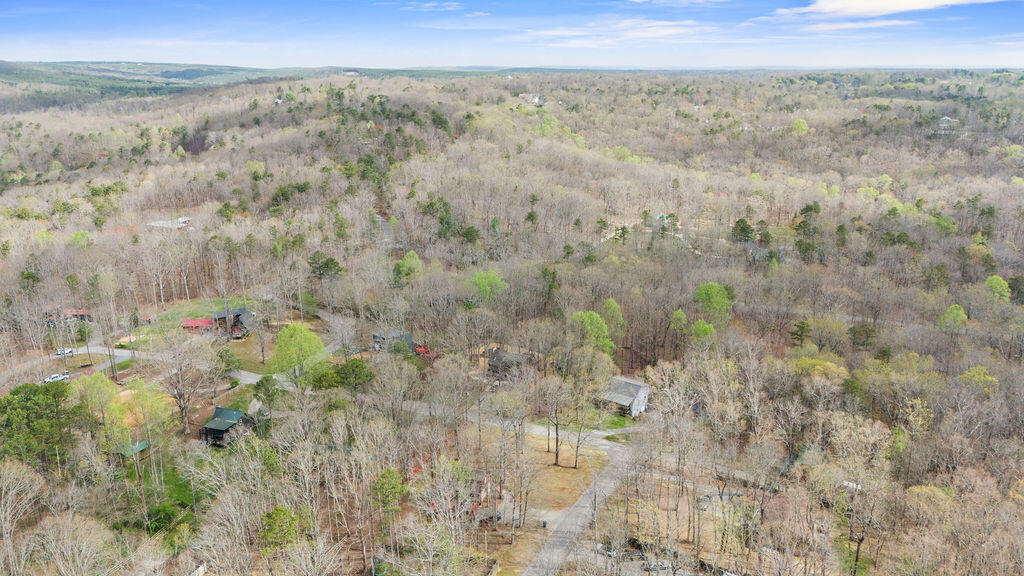 43 Miller Cove Circle, Signal Mountain, Tennessee image 17