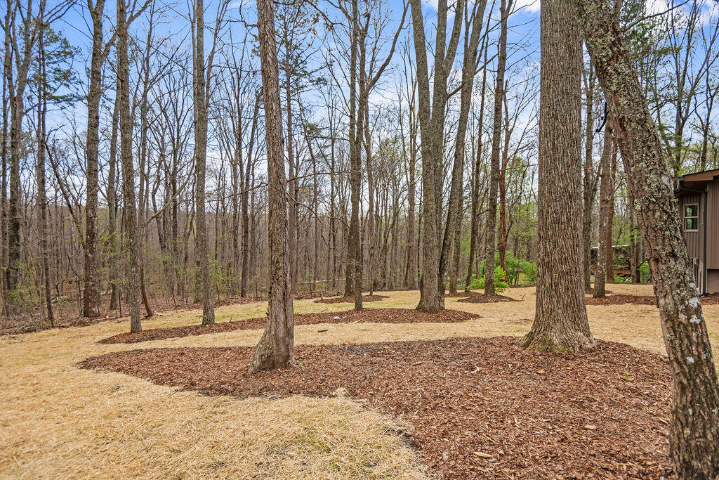 43 Miller Cove Circle, Signal Mountain, Tennessee image 36