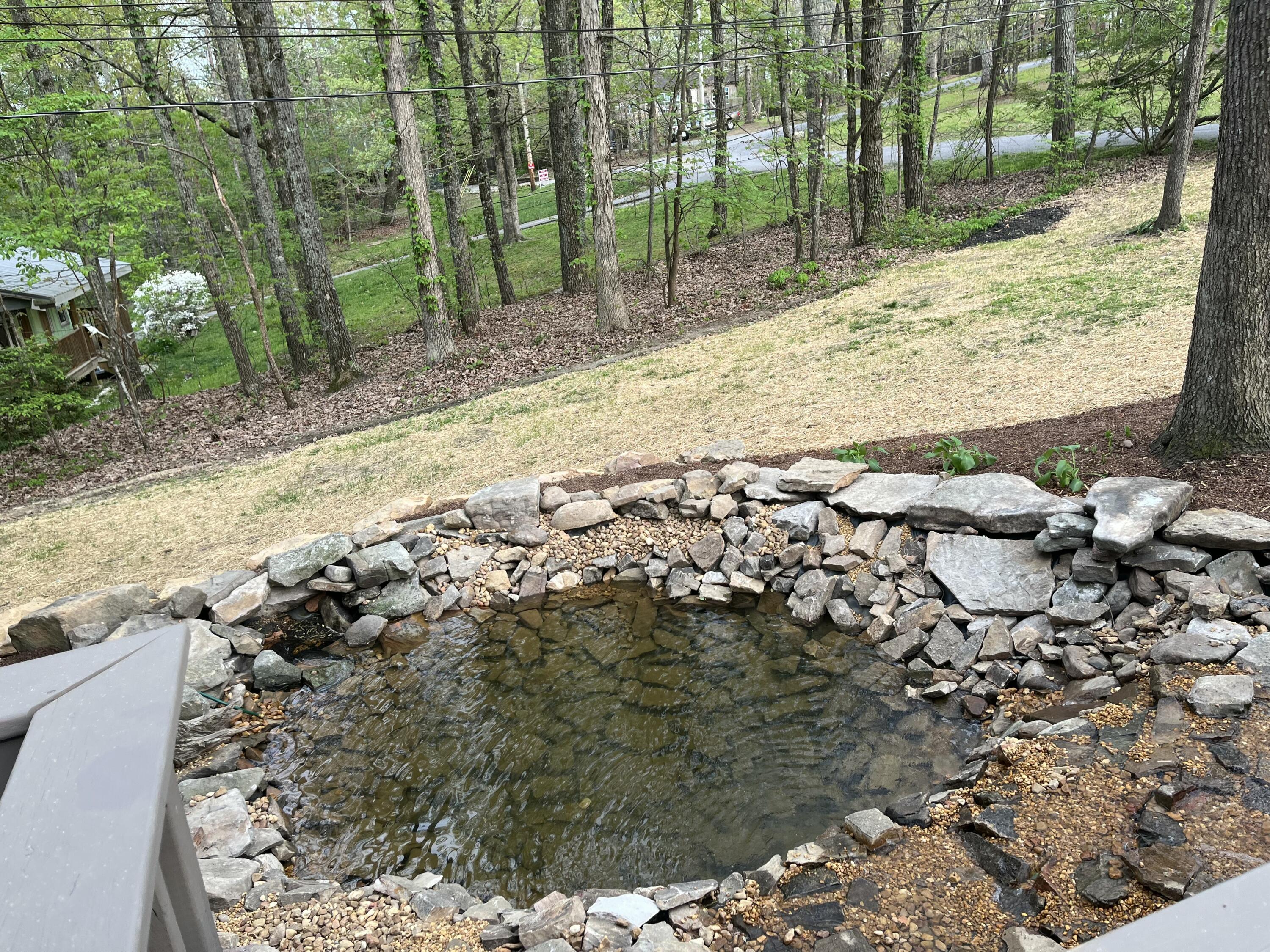 43 Miller Cove Circle, Signal Mountain, Tennessee image 4