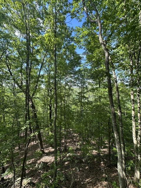 366 Preservation Drive Dr #27, South Pittsburg, Tennessee image 20