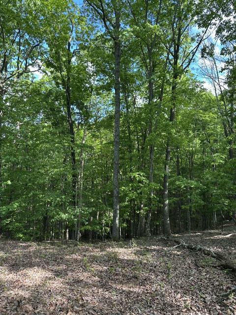 366 Preservation Drive Dr #27, South Pittsburg, Tennessee image 16