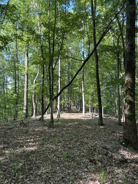 366 Preservation Drive Dr #27, South Pittsburg, Tennessee image 22