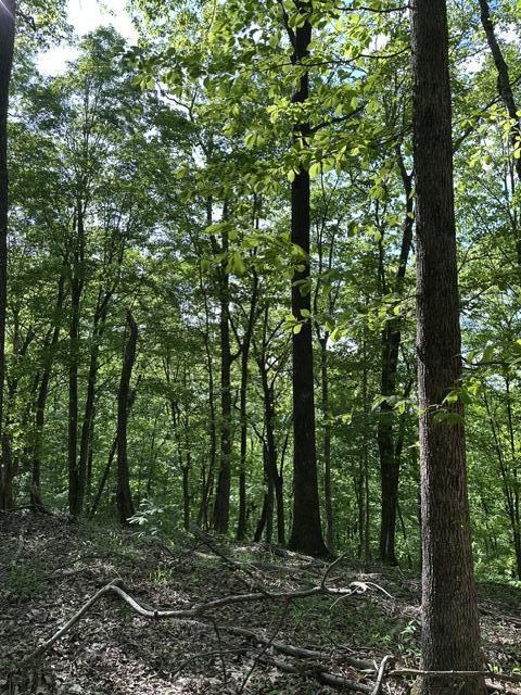366 Preservation Drive Dr #27, South Pittsburg, Tennessee image 25
