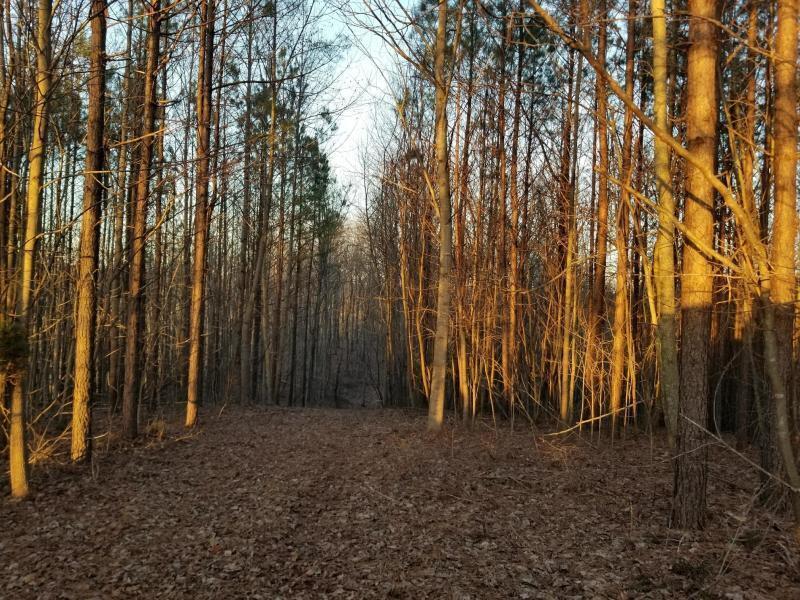 366 Preservation Drive Dr #27, South Pittsburg, Tennessee image 13