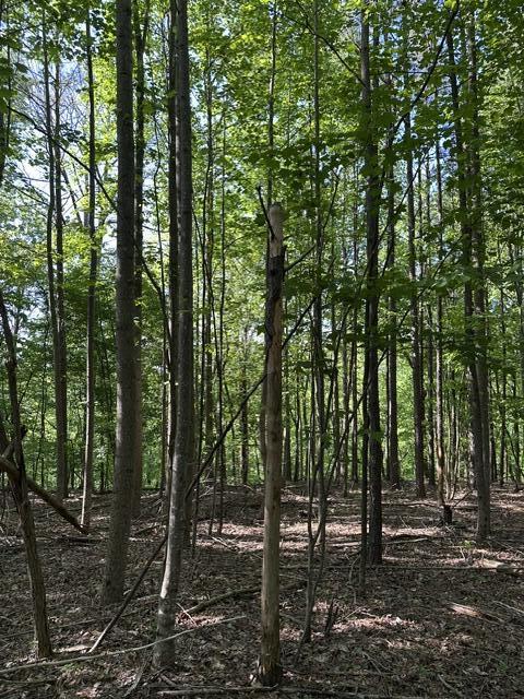 366 Preservation Drive Dr #27, South Pittsburg, Tennessee image 29