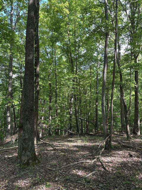 366 Preservation Drive Dr #27, South Pittsburg, Tennessee image 23