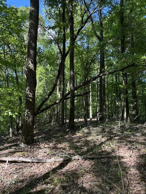 366 Preservation Drive Dr #27, South Pittsburg, Tennessee image 26