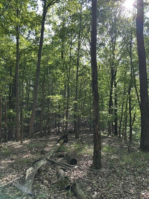 366 Preservation Drive Dr #27, South Pittsburg, Tennessee image 24