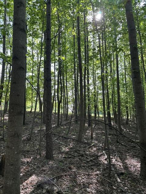 366 Preservation Drive Dr #27, South Pittsburg, Tennessee image 28