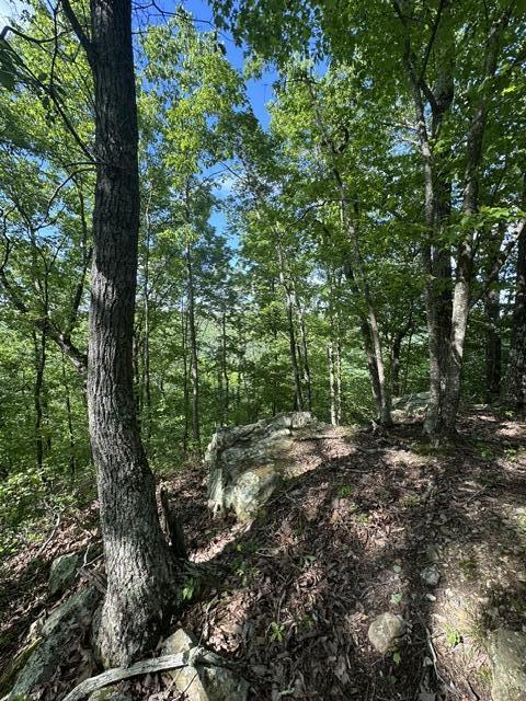 366 Preservation Drive Dr #27, South Pittsburg, Tennessee image 18