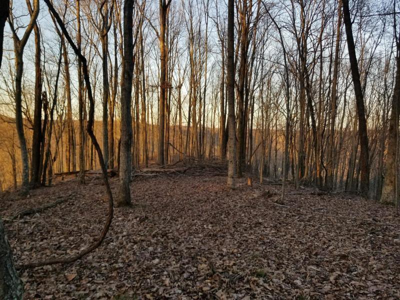366 Preservation Drive Dr #27, South Pittsburg, Tennessee image 12