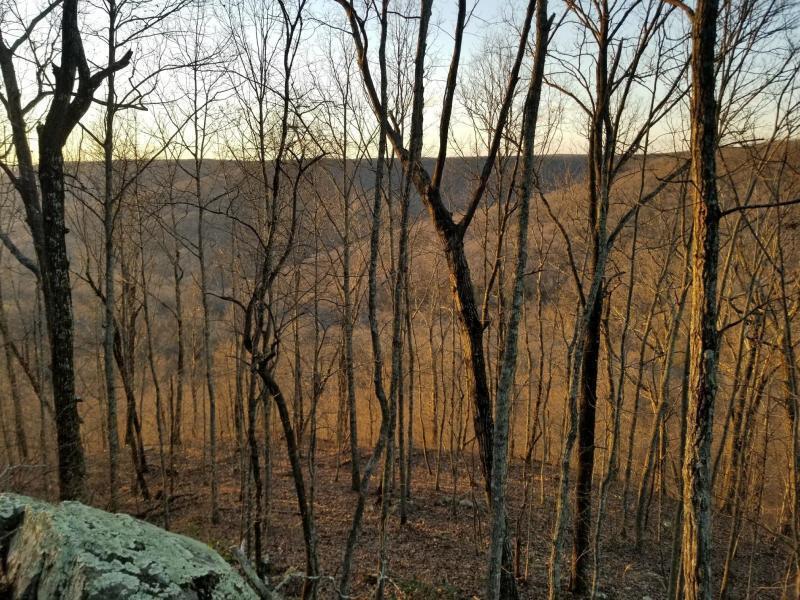 366 Preservation Drive Dr #27, South Pittsburg, Tennessee image 9