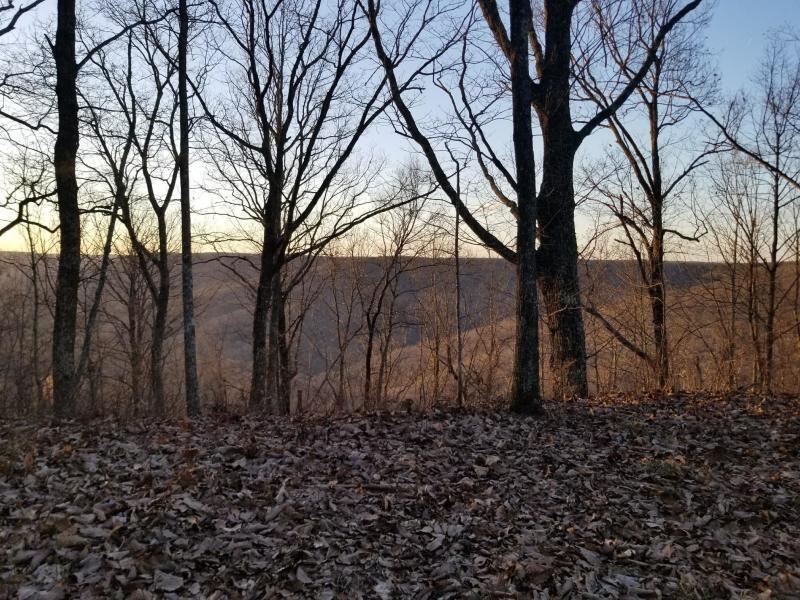 366 Preservation Drive Dr #27, South Pittsburg, Tennessee image 6