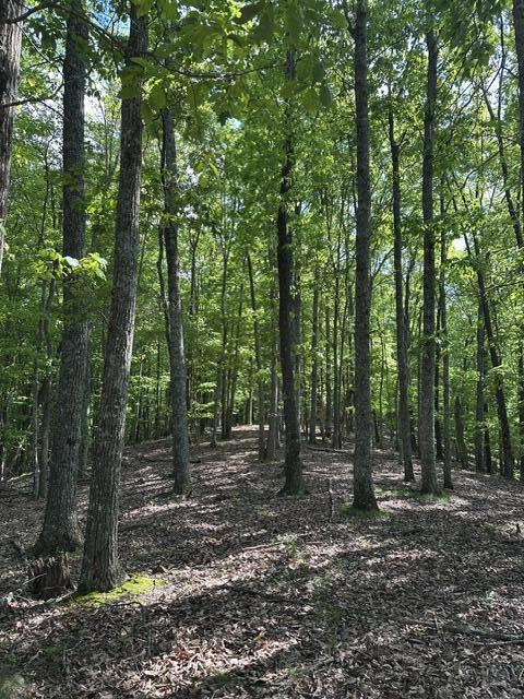 366 Preservation Drive Dr #27, South Pittsburg, Tennessee image 21