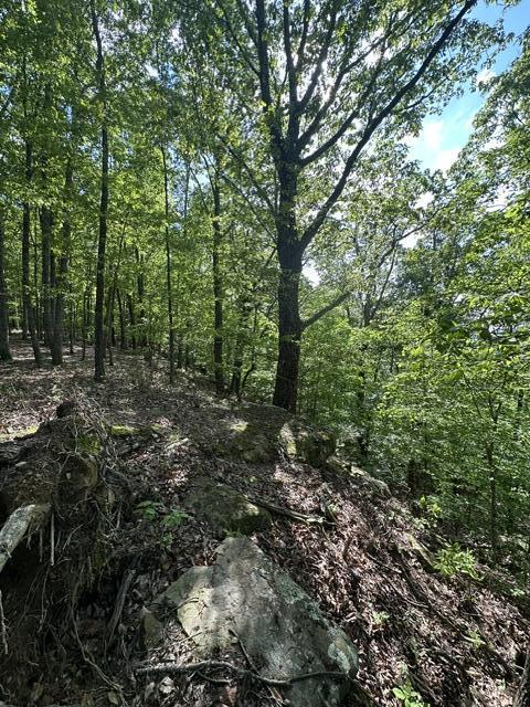 366 Preservation Drive Dr #27, South Pittsburg, Tennessee image 19
