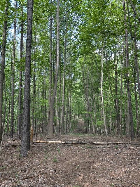 366 Preservation Drive Dr #27, South Pittsburg, Tennessee image 14