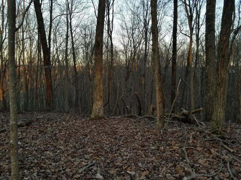 366 Preservation Drive Dr #27, South Pittsburg, Tennessee image 10