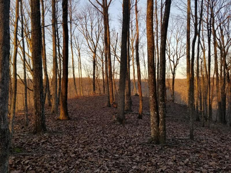 366 Preservation Drive Dr #27, South Pittsburg, Tennessee image 8