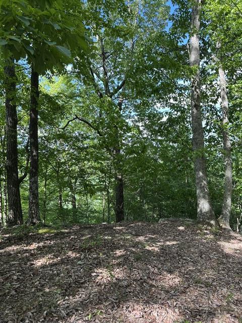 366 Preservation Drive Dr #27, South Pittsburg, Tennessee image 17