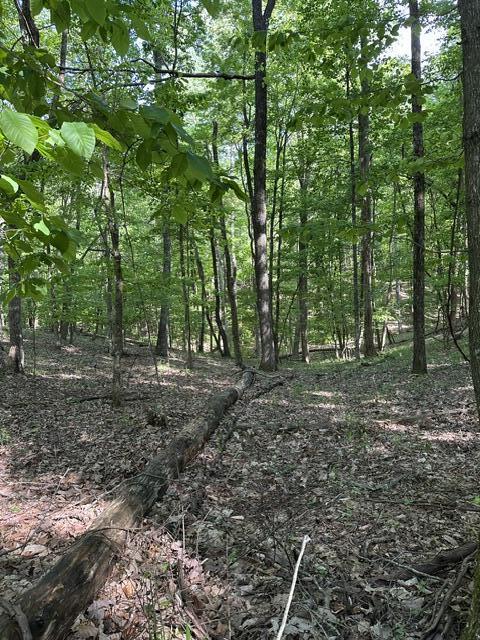 366 Preservation Drive Dr #27, South Pittsburg, Tennessee image 27