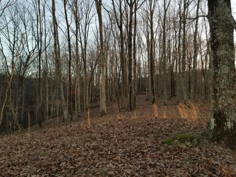 366 Preservation Drive Dr #27, South Pittsburg, Tennessee image 32