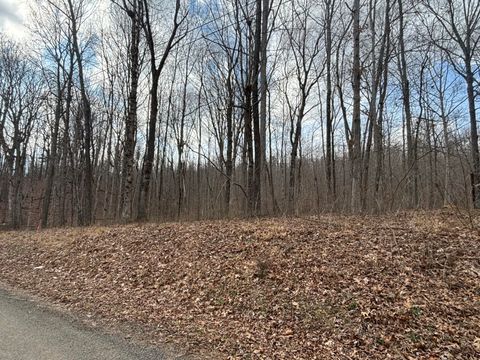 Vacant Land For Sale - LOT 161 Quail Lane<br/> Dunlap, TN 37327
