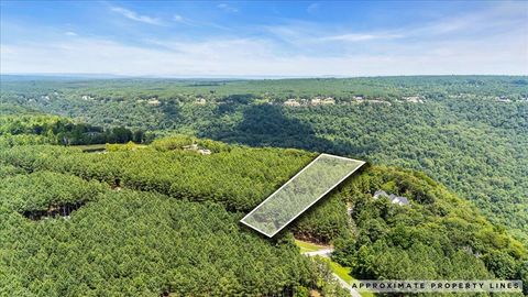 Vacant Land For Sale - 3965 Crockett Point<br/> Jasper, TN 37347