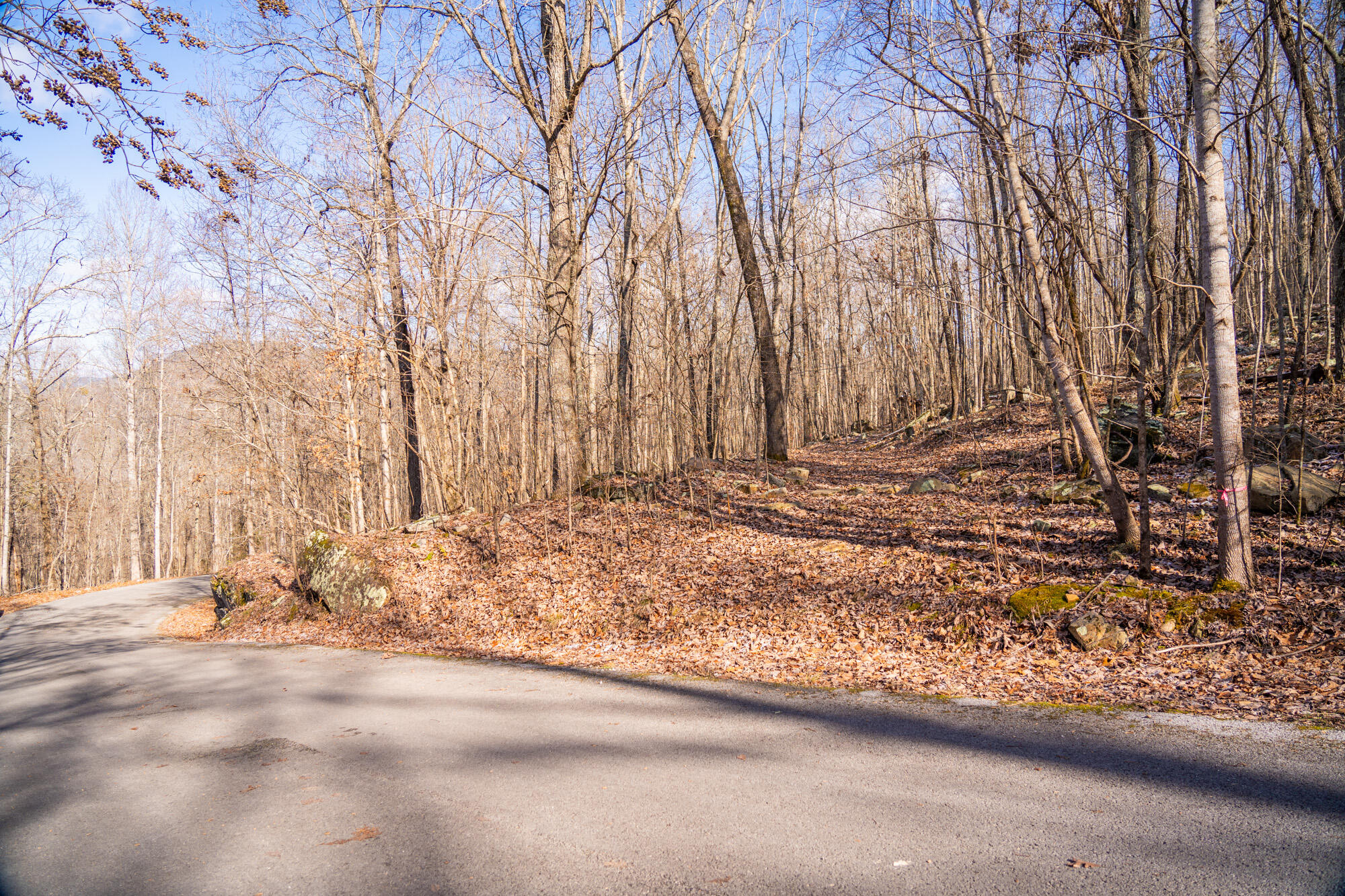 Scenic Drive #5, South Pittsburg, Tennessee image 11