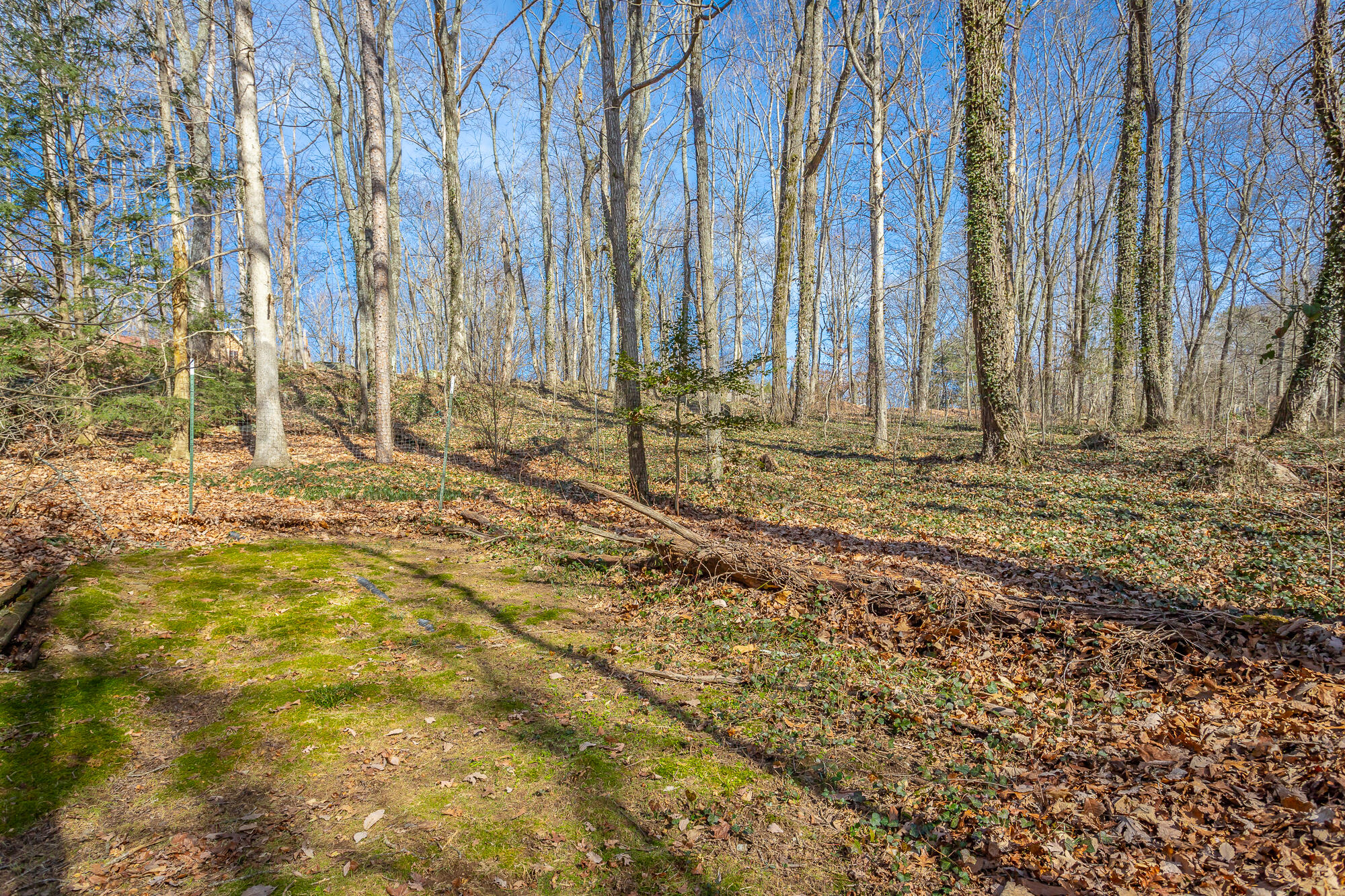 2316 Woodlair Way, Signal Mountain, Tennessee image 25