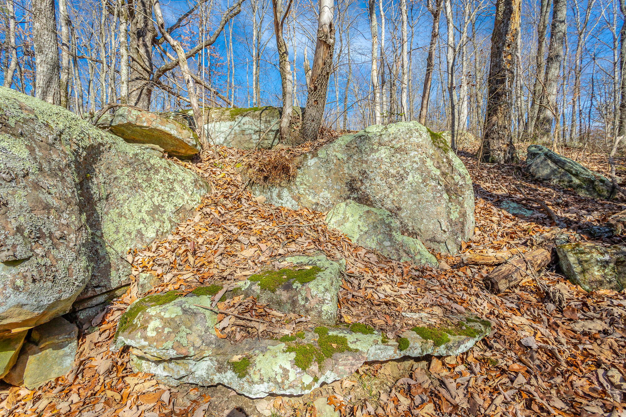 2316 Woodlair Way, Signal Mountain, Tennessee image 26