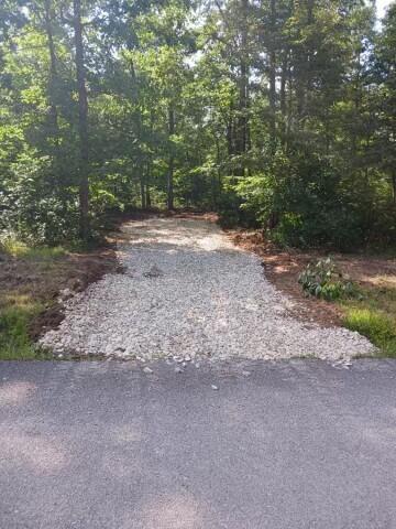 Lot 193 Big Bluff View Road #193, Pikeville, Tennessee image 3