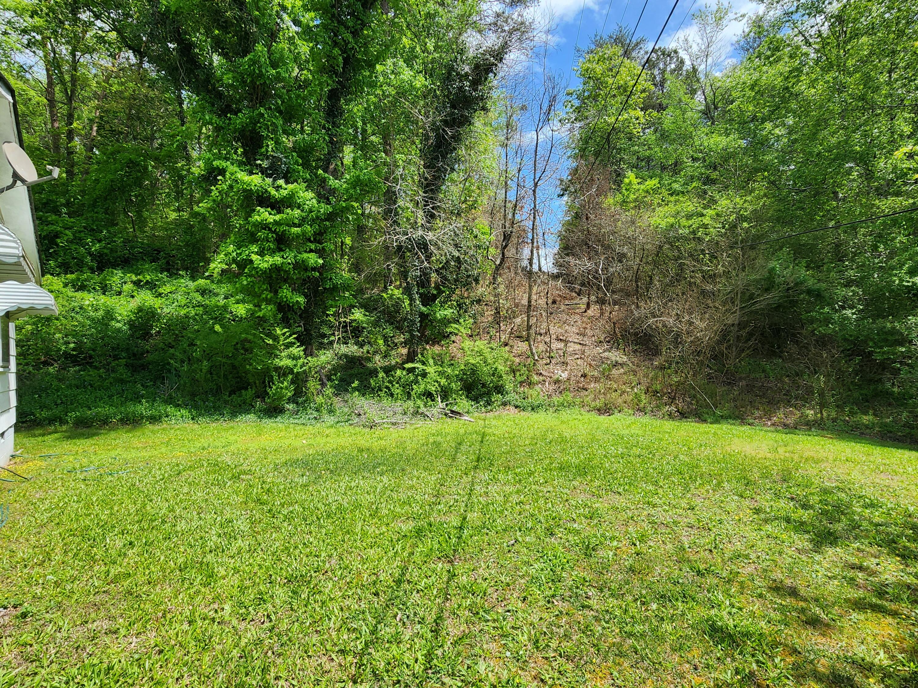 16060 Poole Road, Sale Creek, Tennessee image 23