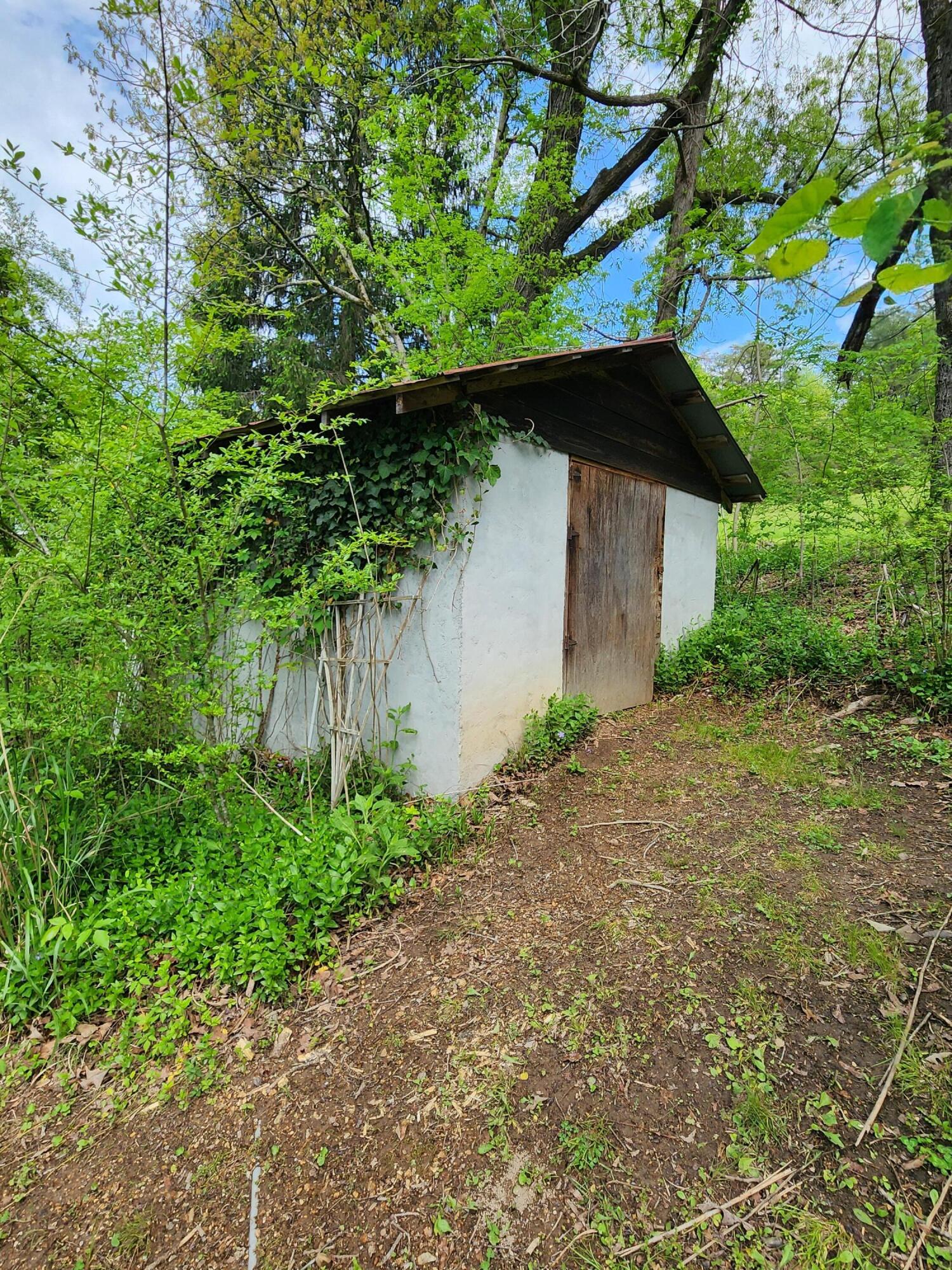 16060 Poole Road, Sale Creek, Tennessee image 26
