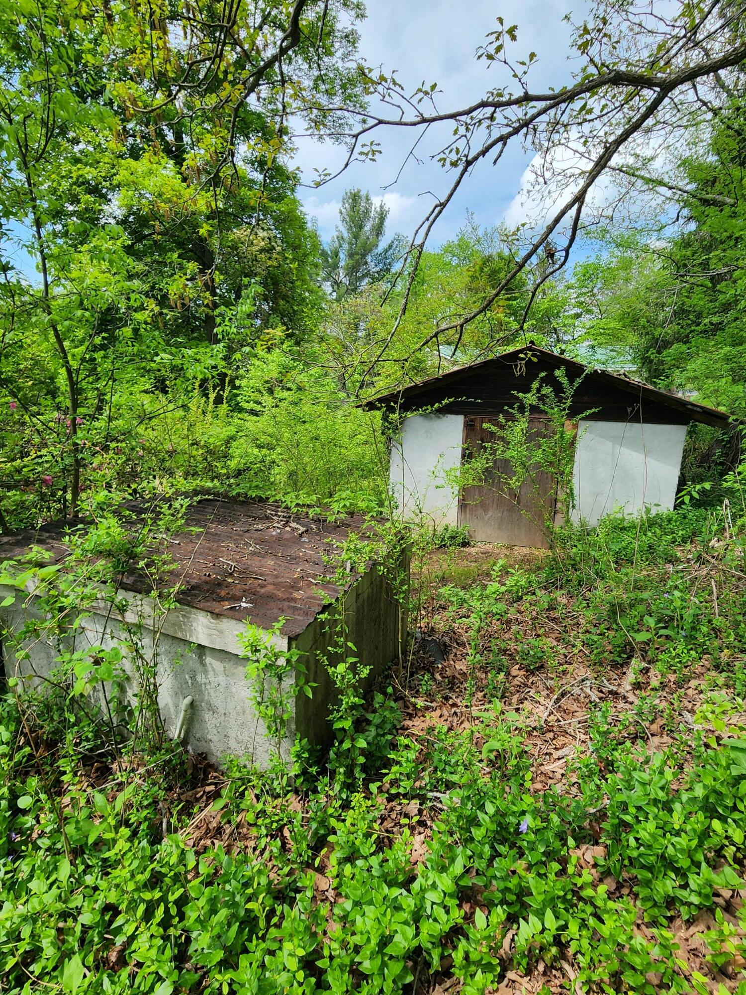 16060 Poole Road, Sale Creek, Tennessee image 25