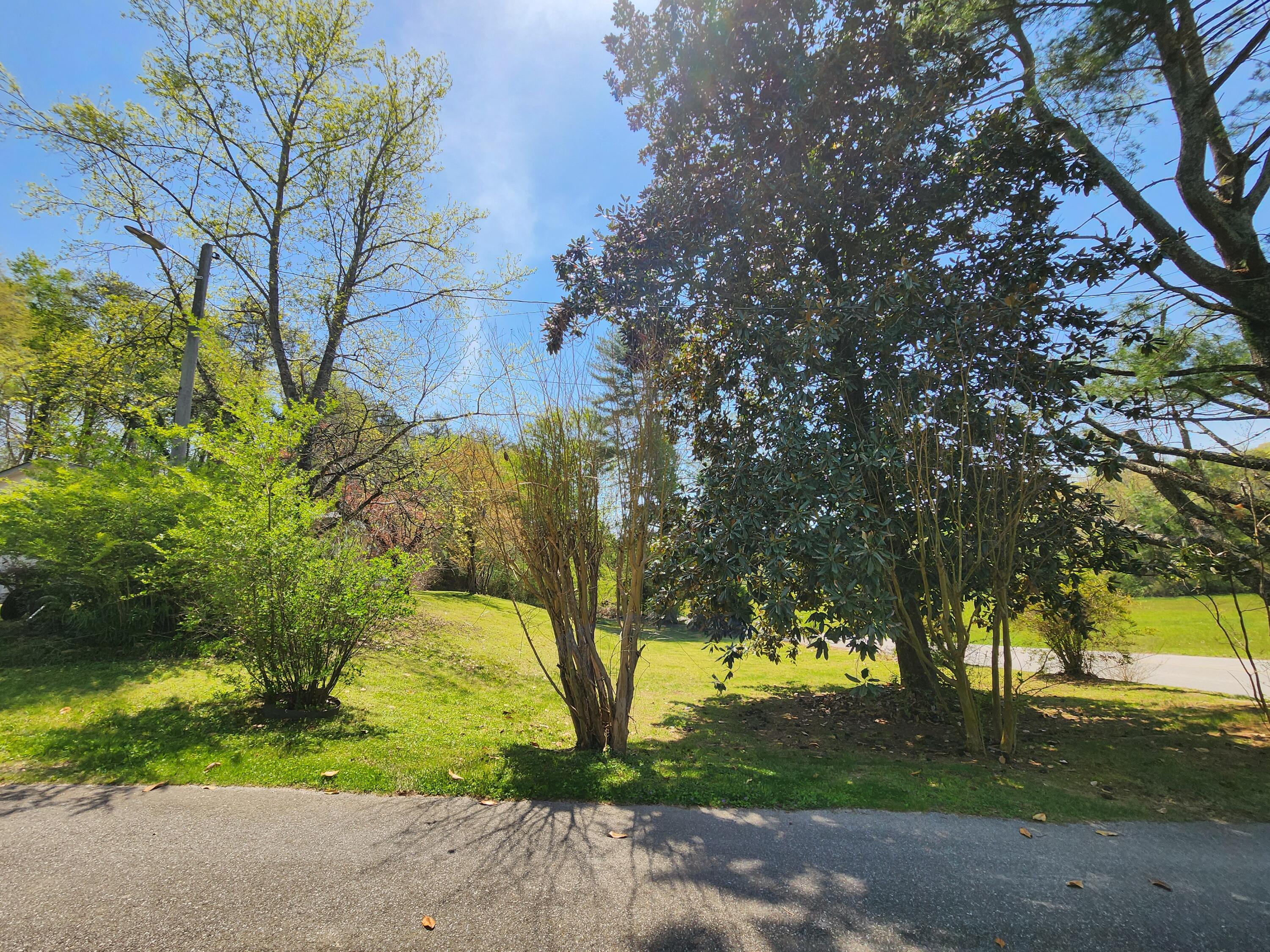 16060 Poole Road, Sale Creek, Tennessee image 5