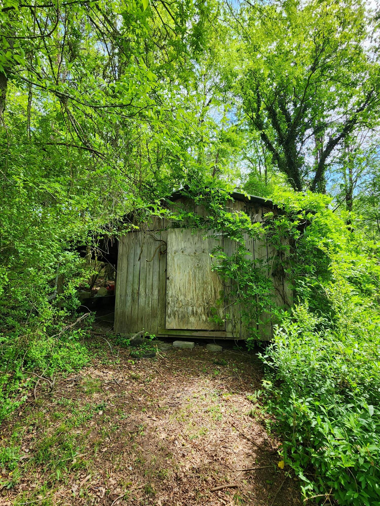 16060 Poole Road, Sale Creek, Tennessee image 24