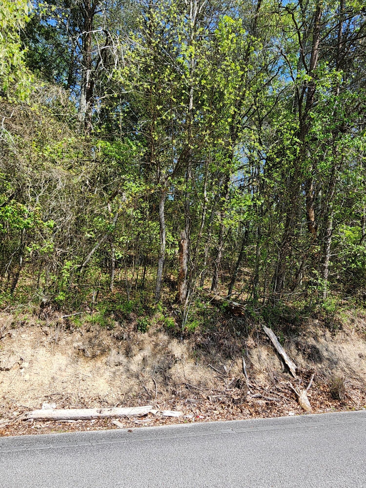 16060 Poole Road, Sale Creek, Tennessee image 6