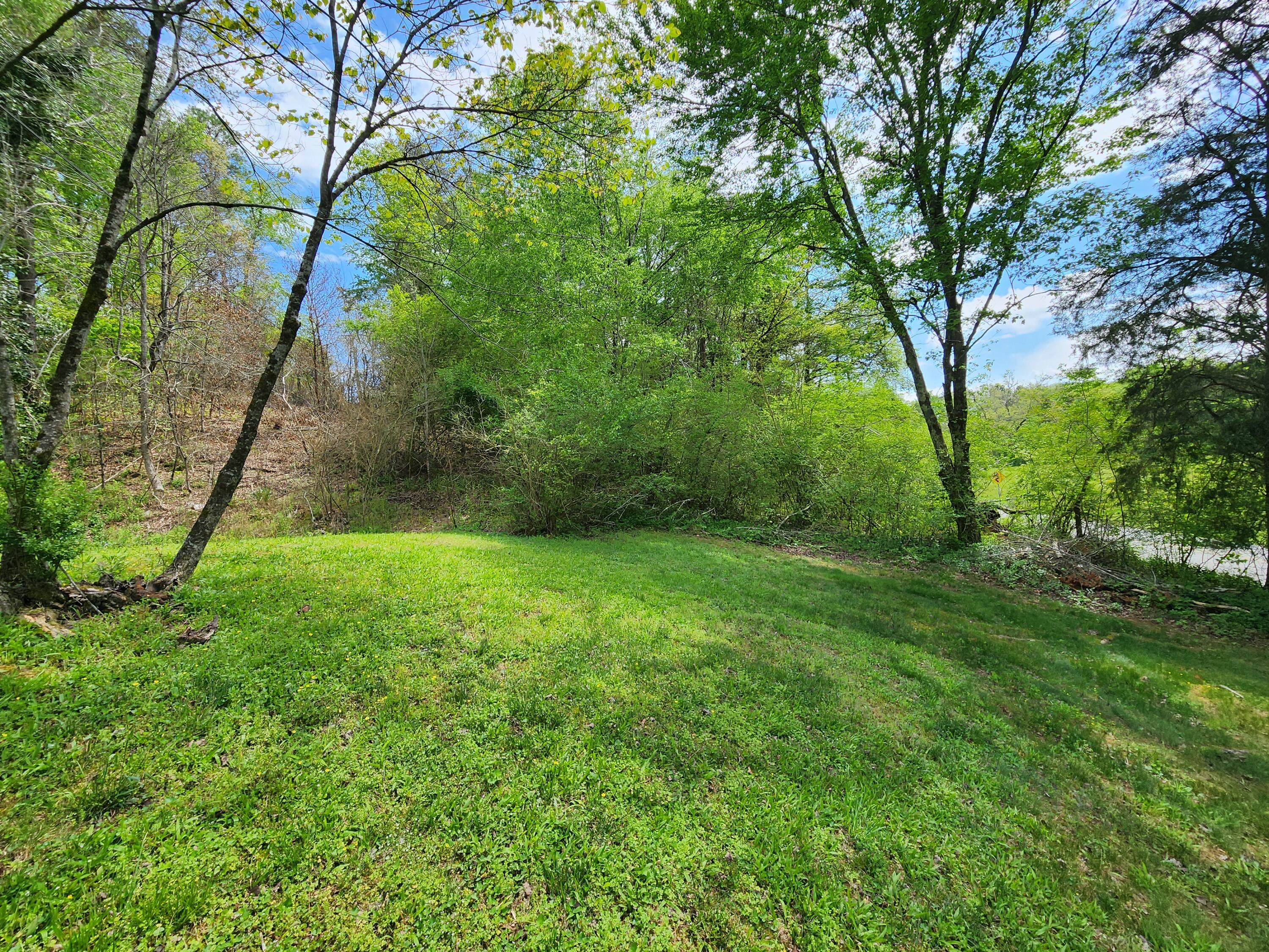 16060 Poole Road, Sale Creek, Tennessee image 22