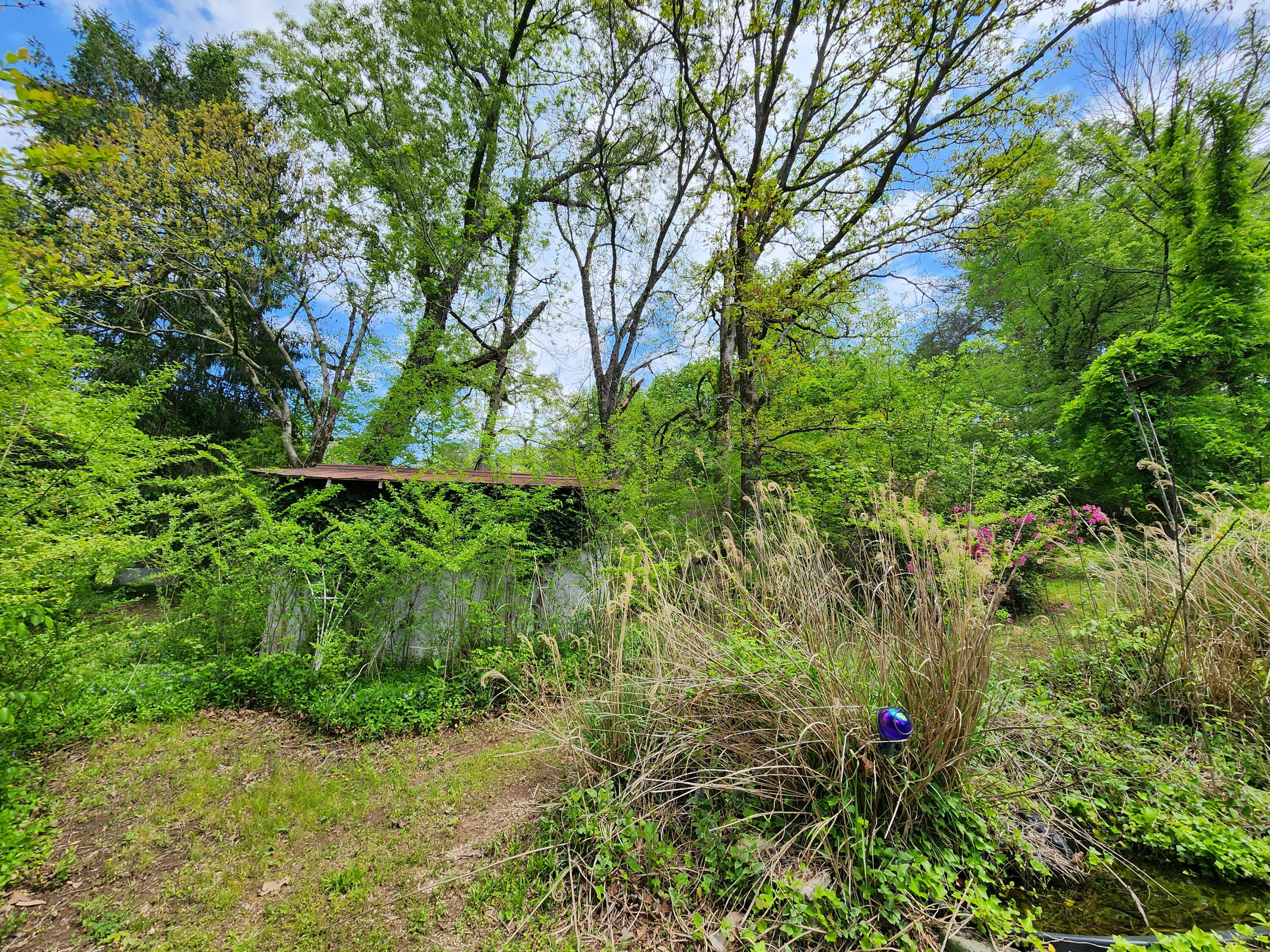 16060 Poole Road, Sale Creek, Tennessee image 27