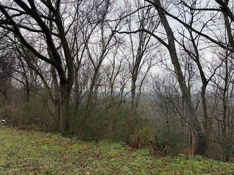 Photo of 3795 Ra Griffith Hwy, Jasper, TN 37347 (MLS # 1526179)
