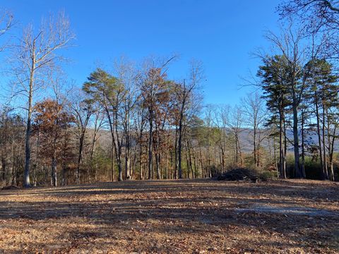Photo of 978 Press Pickett Road, Whitwell, TN 37397 (MLS # 1534294)