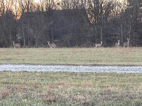 Tiny photo for 313 Lowry Lane, Chickamauga, GA 30707 (MLS # 1527403)