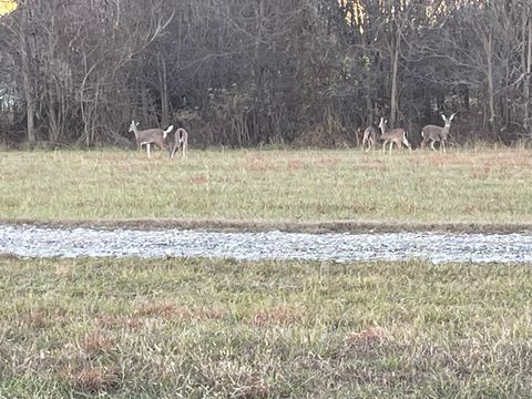 Tiny photo for 313 Lowry Lane, Chickamauga, GA 30707 (MLS # 1527403)